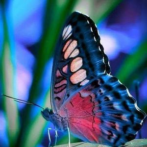 Meet your Posher, Stacey